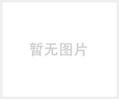 testo 330是什么型号烟气分析仪